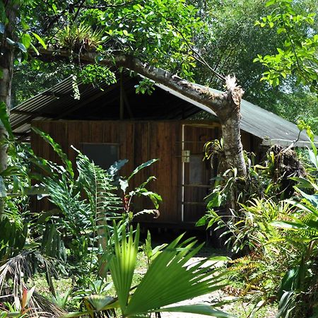 Hakuna Matata Amazon Lodge Archidona Экстерьер фото