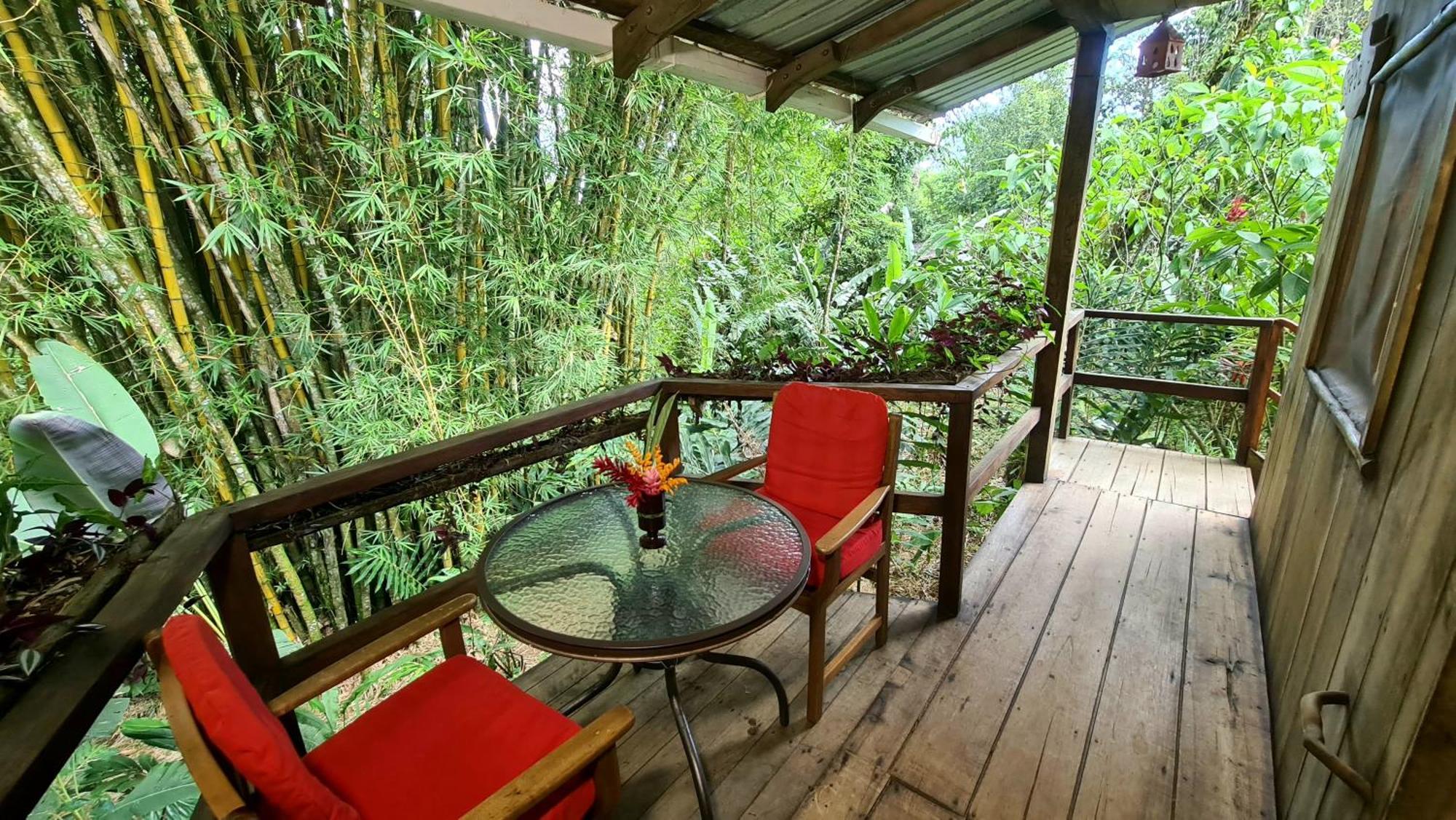 Hakuna Matata Amazon Lodge Archidona Экстерьер фото
