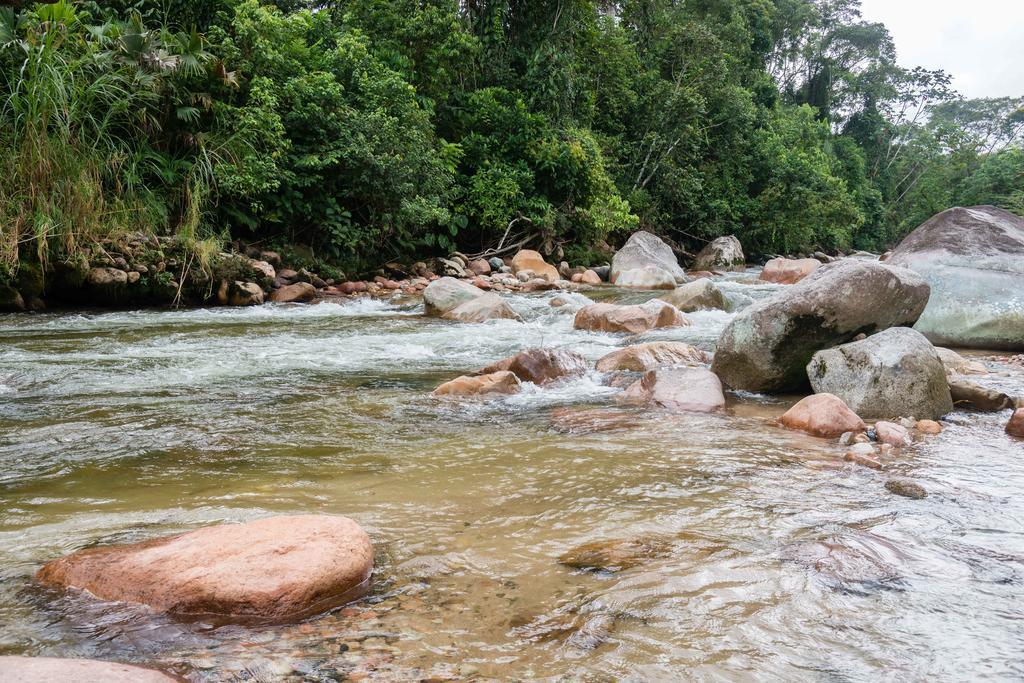 Hakuna Matata Amazon Lodge Archidona Экстерьер фото